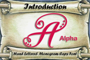 Alpha Monogram: A Script Font for Campaign Creativity