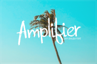 Amplifier: The Font That Elevates Your Brand