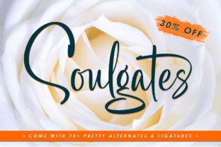 Boost Your Brand with Soulgates: A Script Font for Modern Business