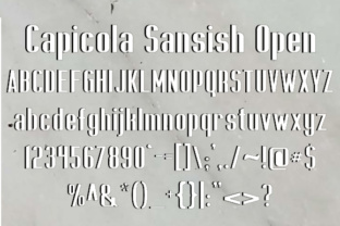 Capicola Sansish Open: A Bold Choice for Editorial Design