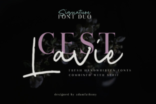 Cest Lavie Duo: A Warm, Professional Serif Font for Small Businesses