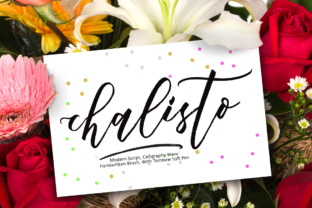 Chalisto: A Script Font for Creative Crafters and Product Makers