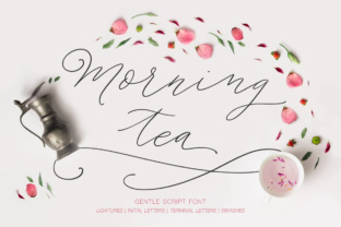 Morning Tea Script: A Hand-Drawn Typeface for Thoughtful Editorial Moments