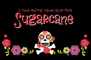 Sugarcane: A Script Font for Web Design and Brand Identity